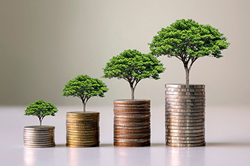 DBS ESG Ready Programme (Ready, Set, Grow)