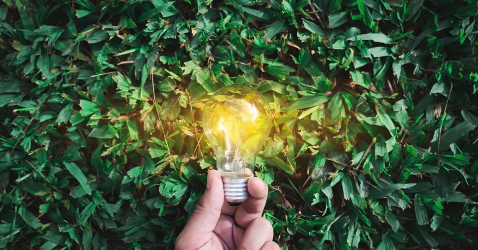 How Singapore companies can thrive through adopting sustainability standards