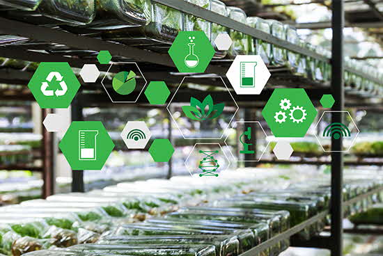 Overseas opportunities Accordion - 1