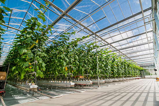 Opportunities - accordion 2