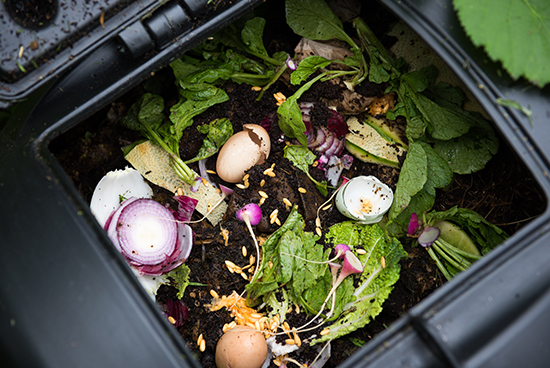 Key opportunities - Sustainable and resilient enterprises