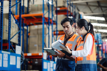 Job Transformation Map - Wholesale Trade