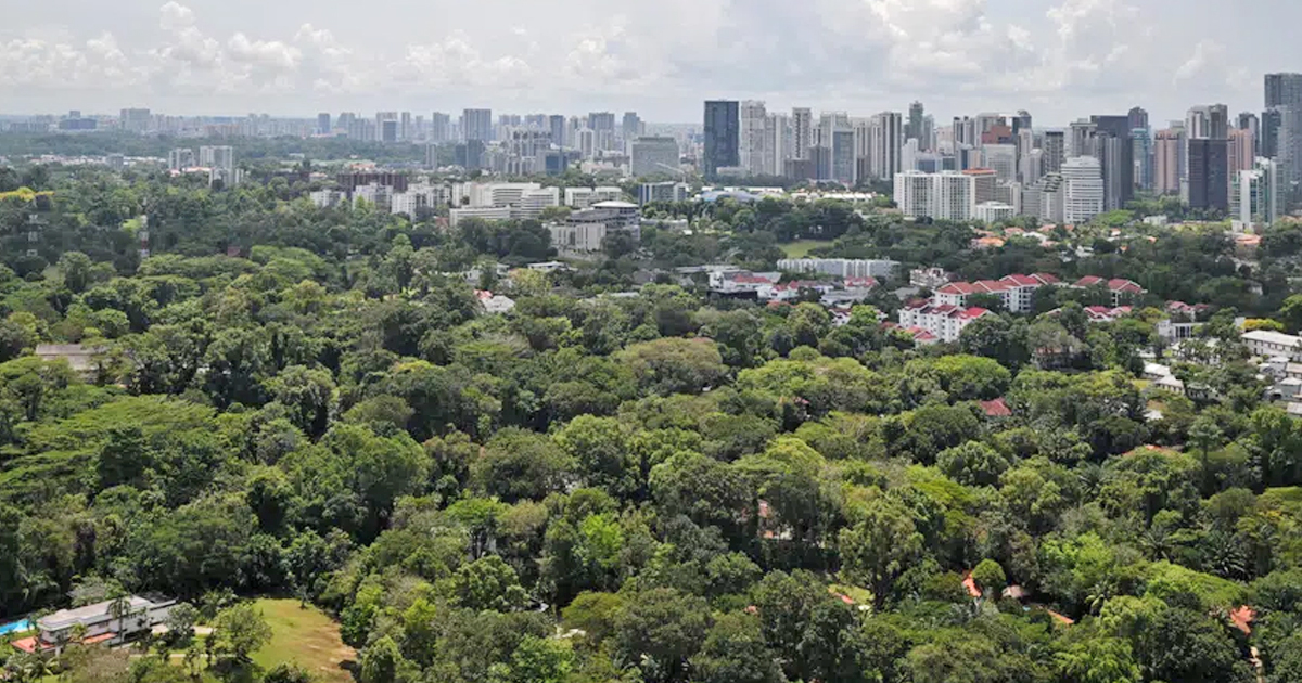 Carbon management - the process of measuring and reducing carbon emissions - has now become a key facet in corporate strategy. PHOTO: BT FILE